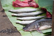 14782_Luang Prabang